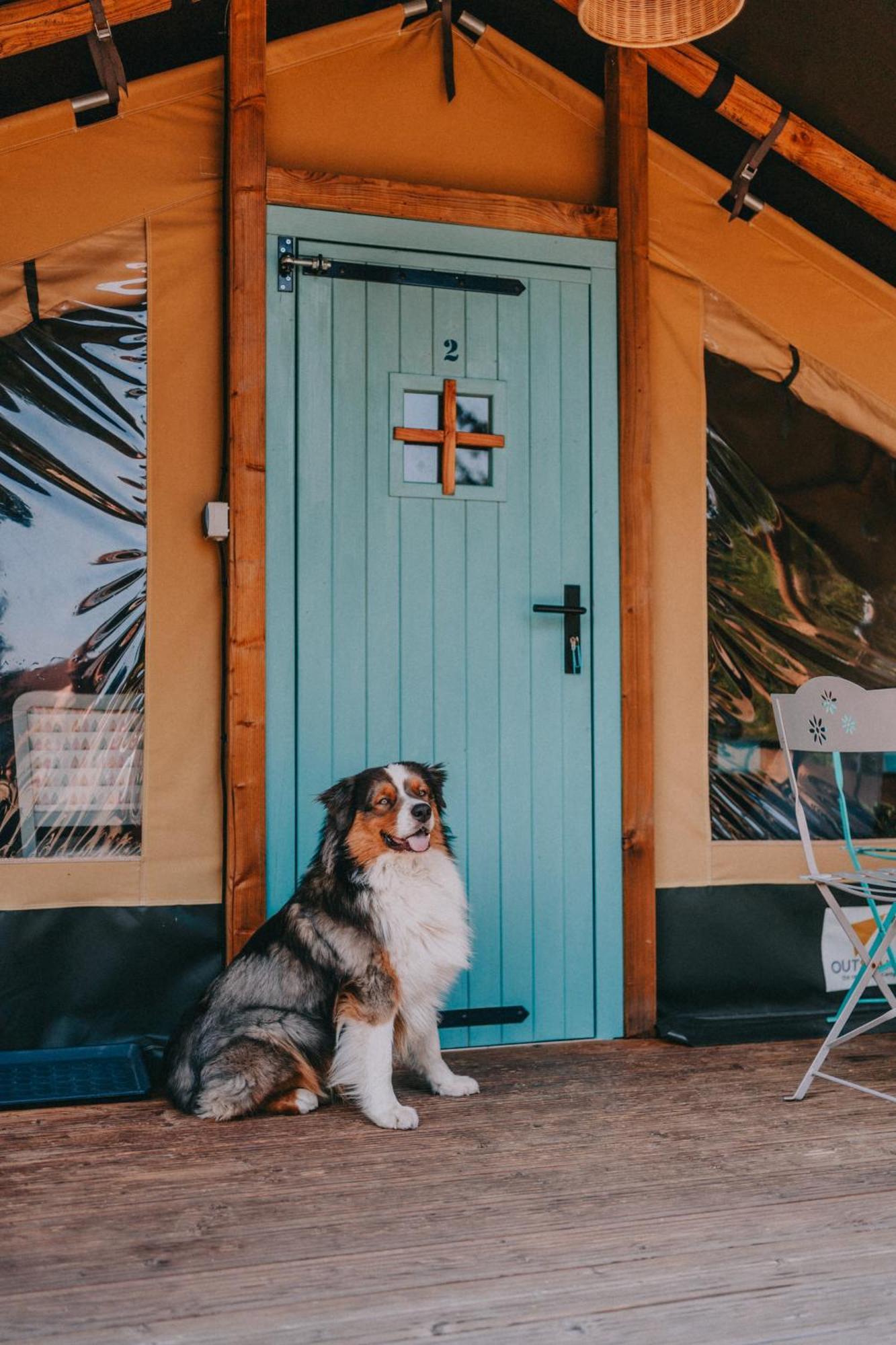 Hotel Rendes Glamping à Balatonrendes Extérieur photo