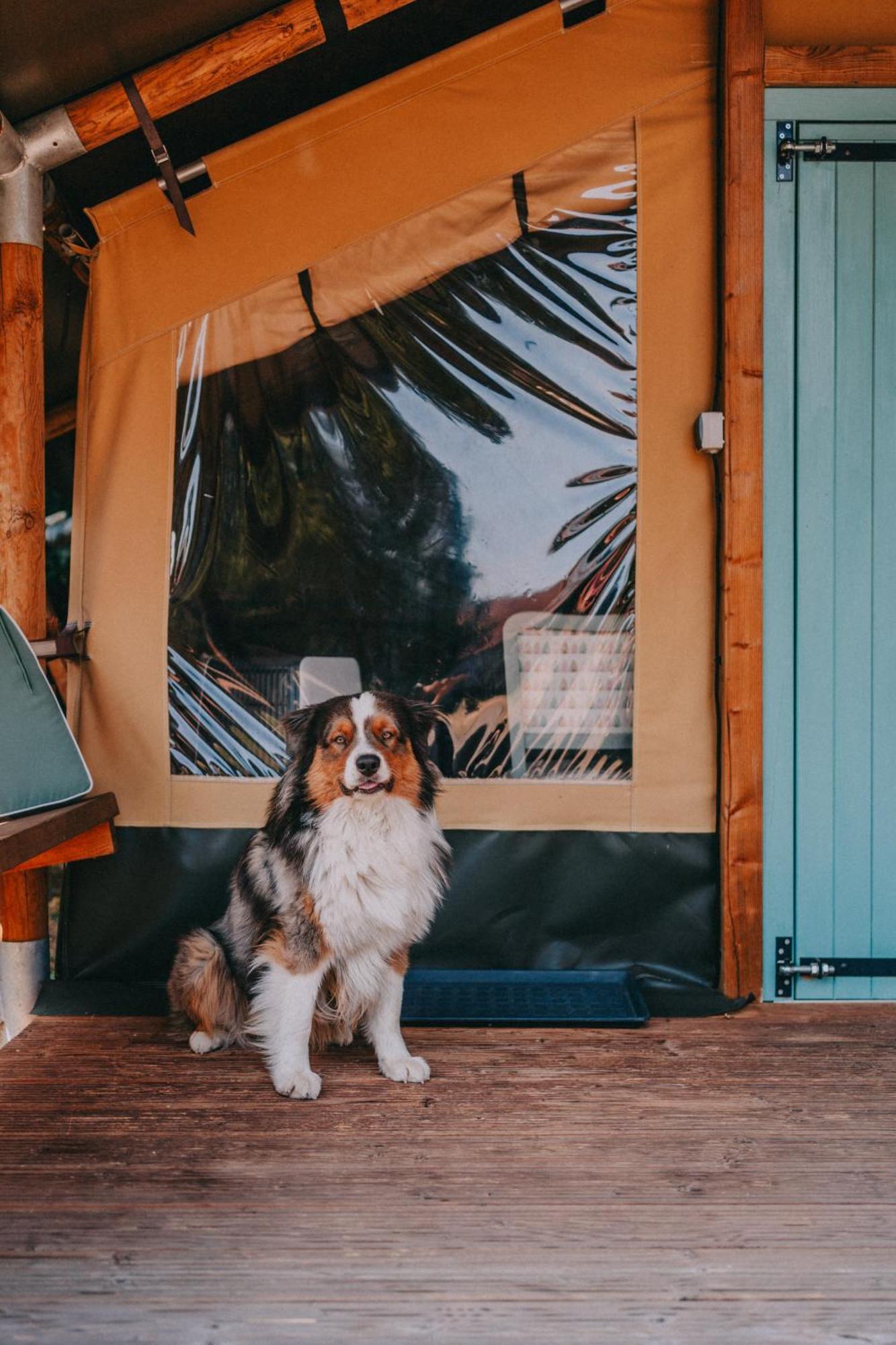 Hotel Rendes Glamping à Balatonrendes Extérieur photo